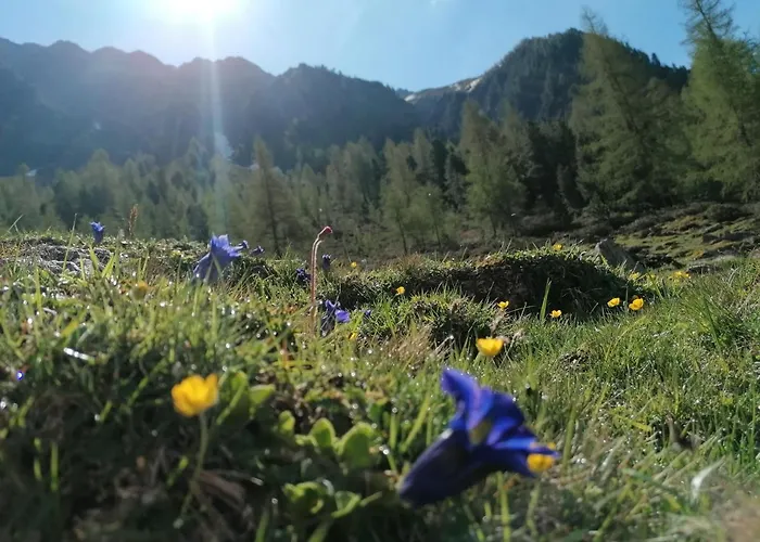 Apartmán Schoepf - Hoamat Längenfeld