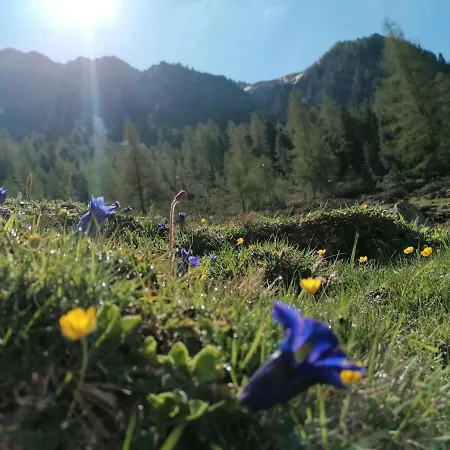 Appartement Schoepf - Hoamat Längenfeld